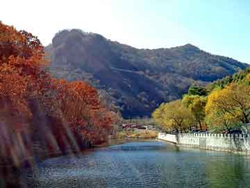 管家婆黑白马报图库，全本都市小说排行榜